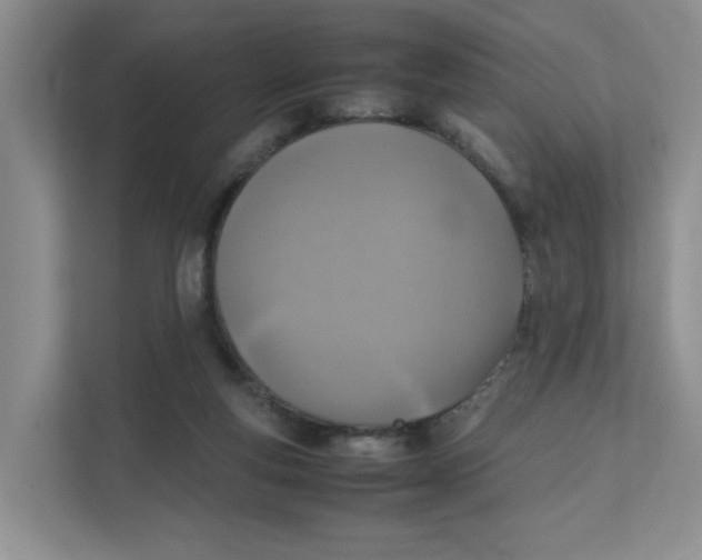 X0000111350163200907310959