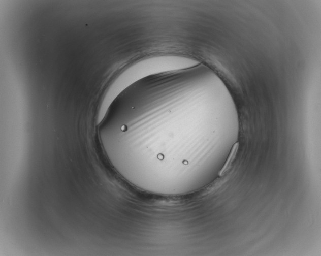 X0000111350164200907310959