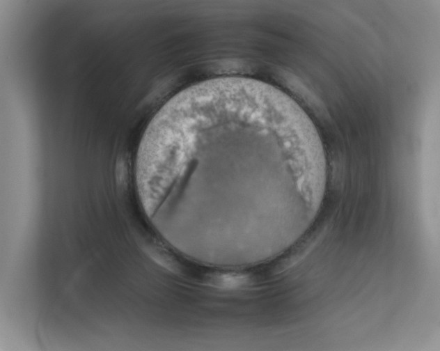 X0000111350165200907310959