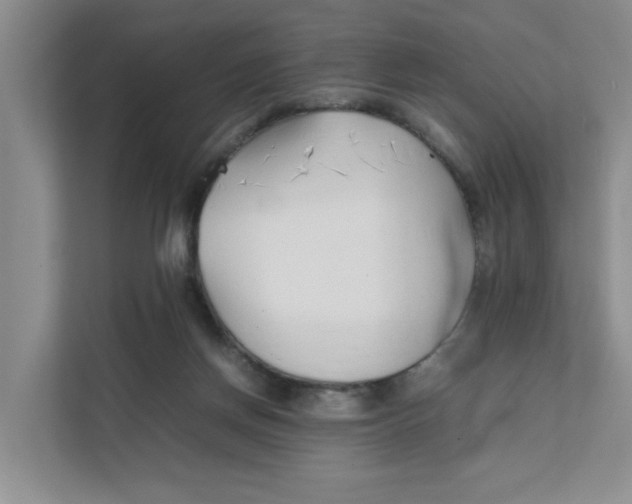 X0000111350166200907310959