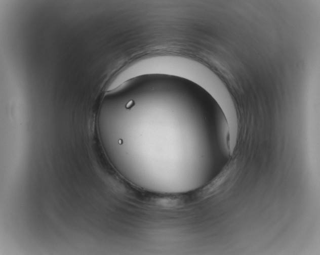 X0000111350168200907310959