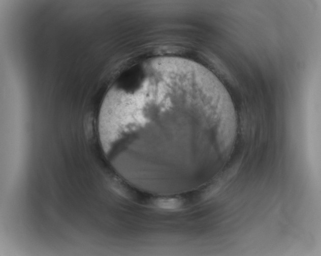 X0000111350169200907310959