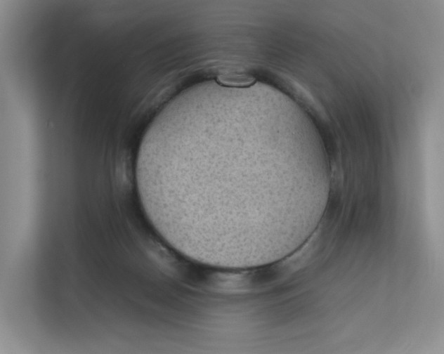 X0000111350170200907310959