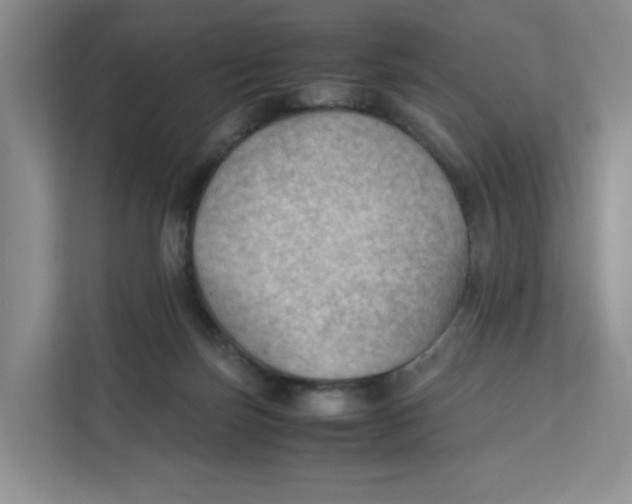 X0000111350171200907310959