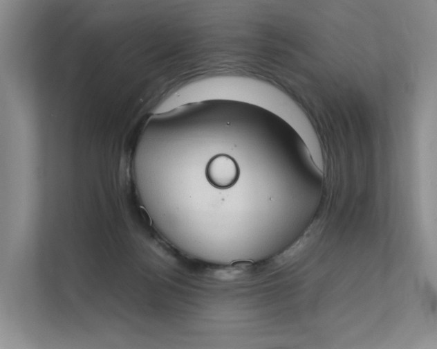 X0000111350172200907310959