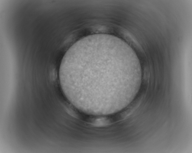 X0000111350173200907310959