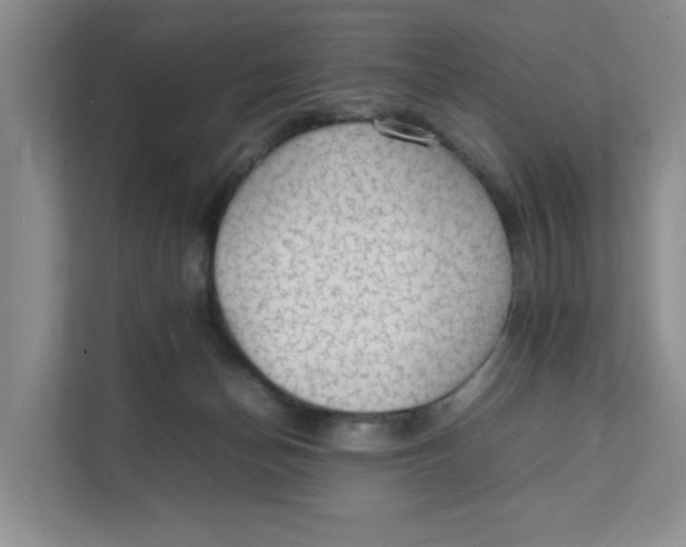 X0000111350174200907310959