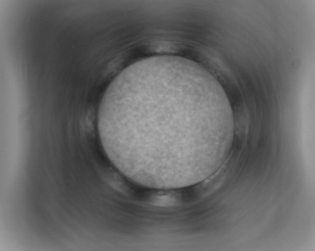 X0000111350175200907310959