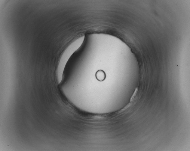 X0000111350176200907310959