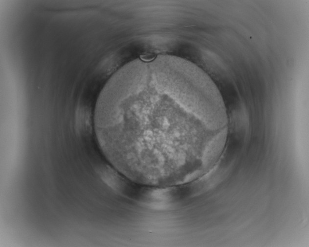 X0000111350178200907310959