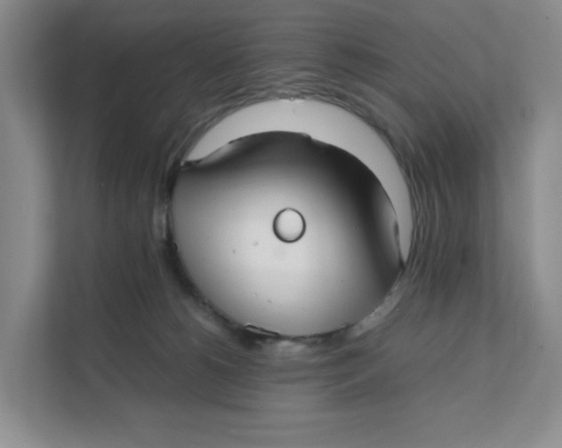 X0000111350180200907310959