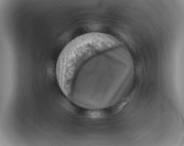 X0000111350181200907310959