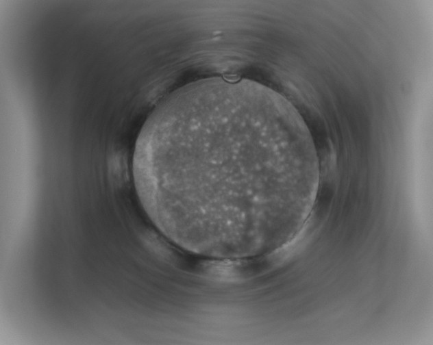 X0000111350182200907310959