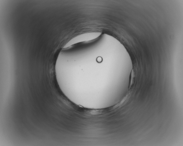 X0000111350184200907310959