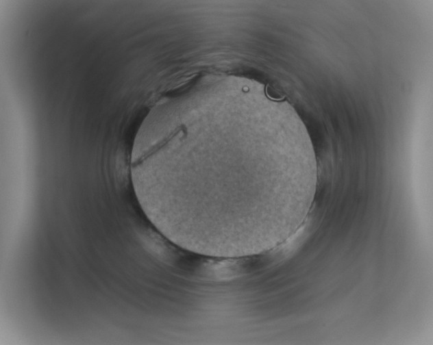 X0000111350186200907310959