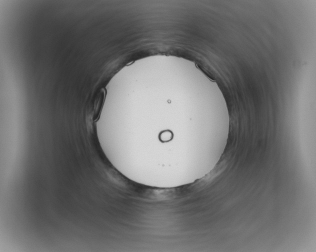 X0000111350188200907311000