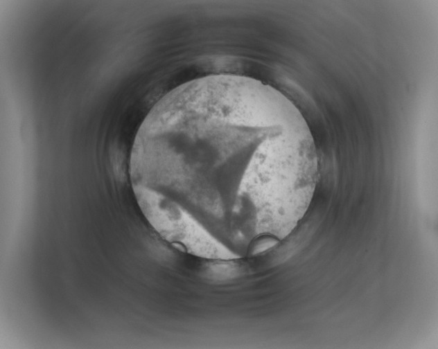 X0000111350189200907311000