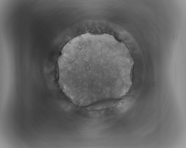 X0000111350192200907311000