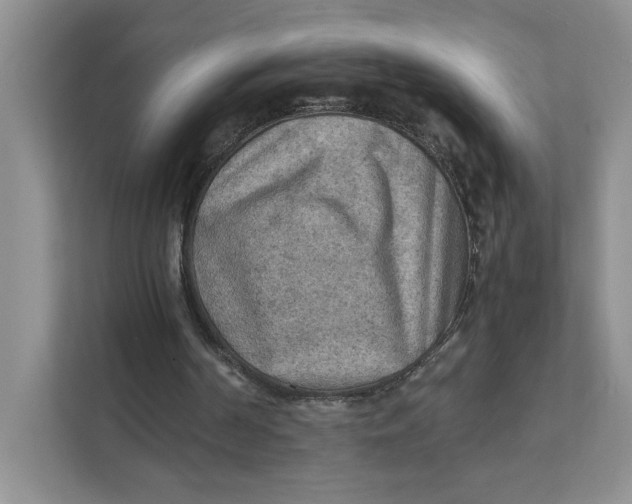 X0000111350194200907310959