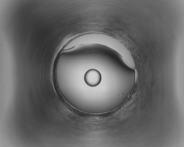 X0000111350195200907310959