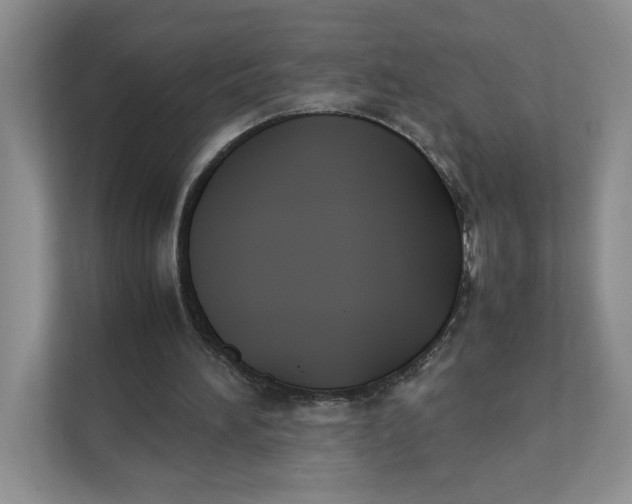 X0000111350196200907310959