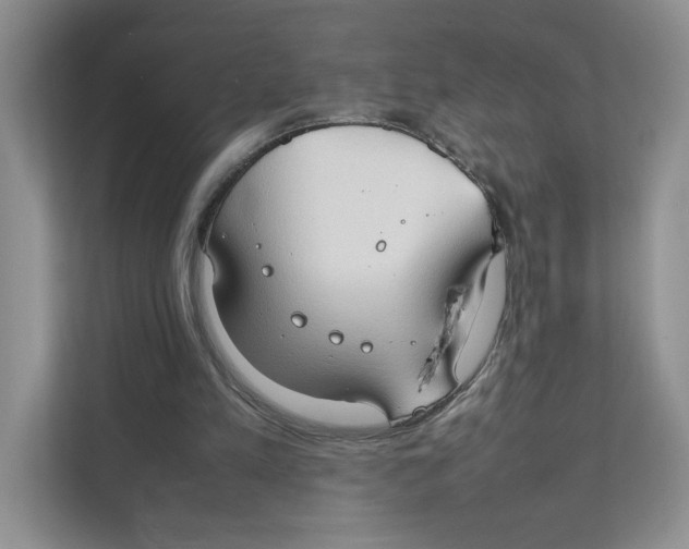 X0000111350197200907310959