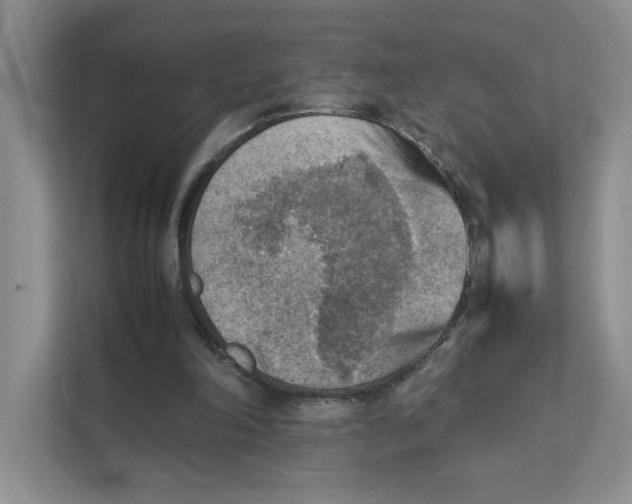 X0000111350198200907310959