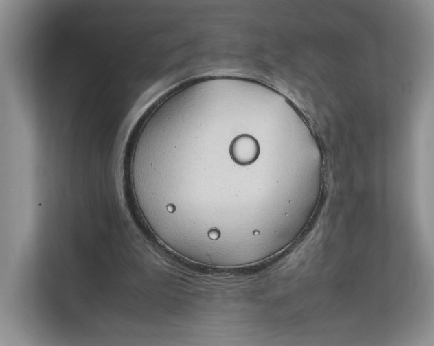 X0000111350199200907310959