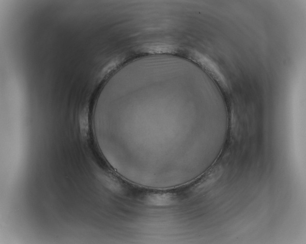 X0000111350202200907310959