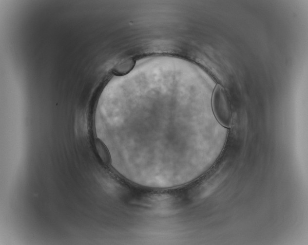 X0000111350203200907310959