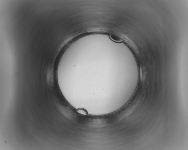 X0000111350204200907310959