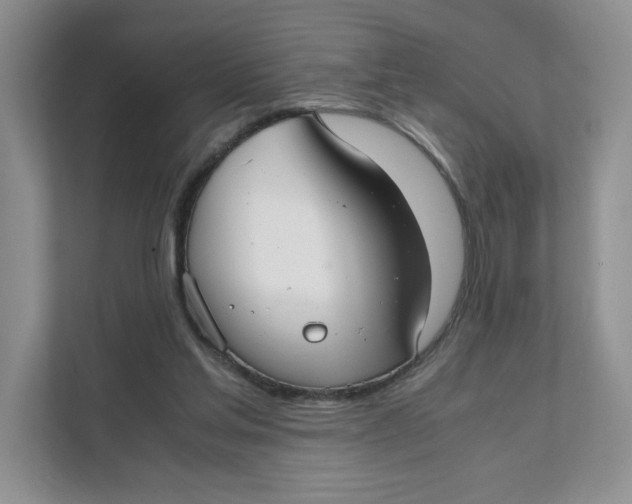 X0000111350205200907310959