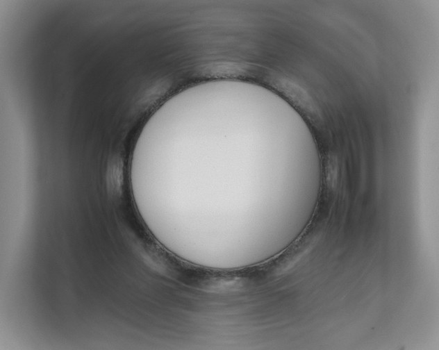 X0000111350206200907310959