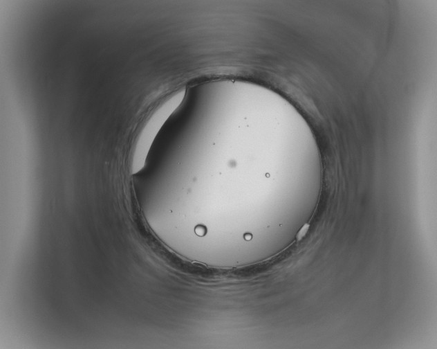 X0000111350207200907310959