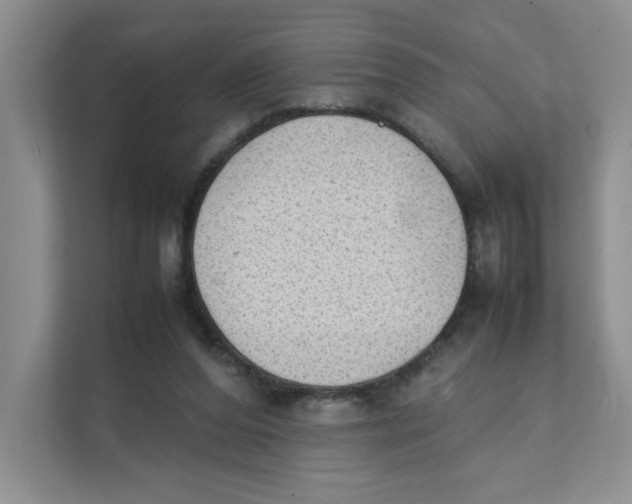 X0000111350208200907310959