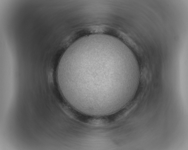 X0000111350209200907310959