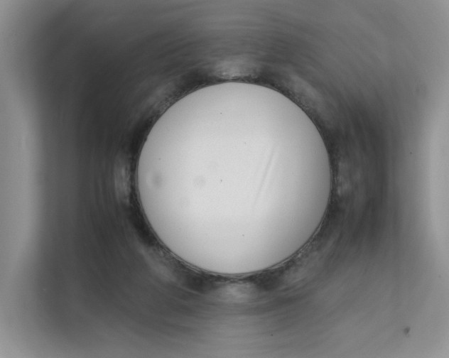 X0000111350210200907310959