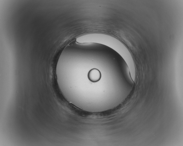 X0000111350211200907310959