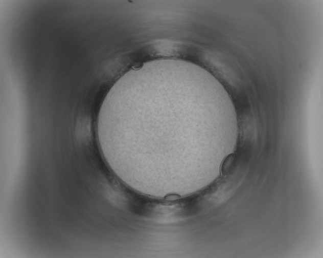 X0000111350213200907310958