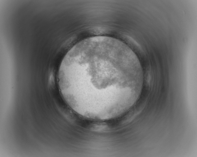 X0000111350214200907310958