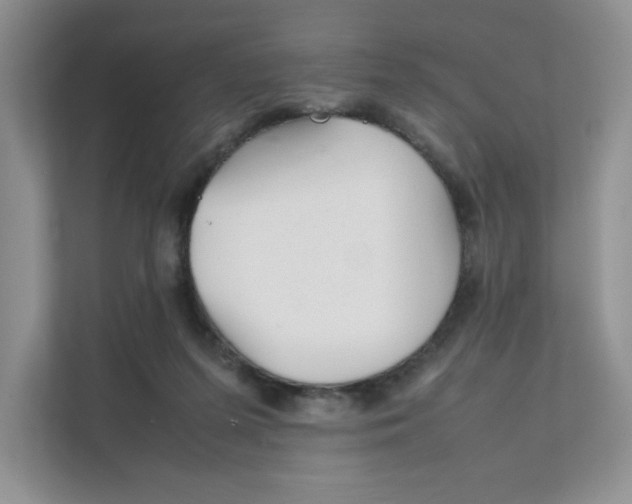 X0000111350215200907310958