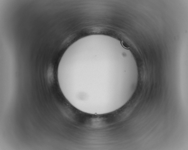 X0000111350216200907310958