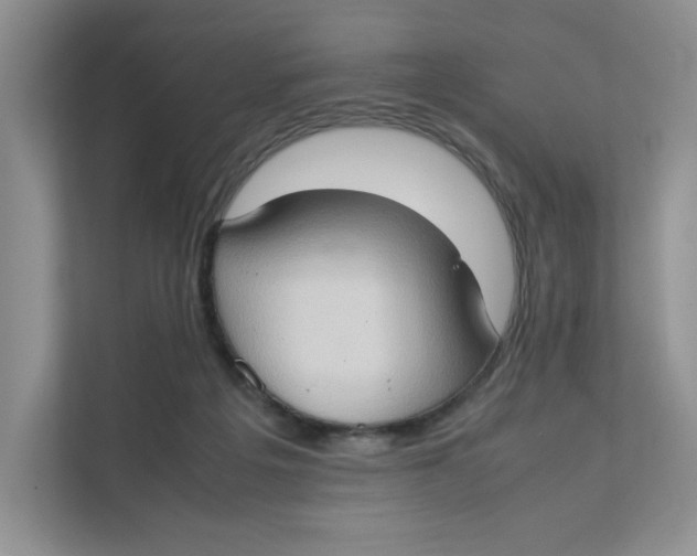 X0000111350217200907310958