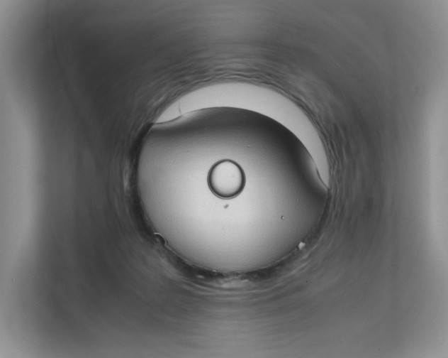 X0000111350219200907310958