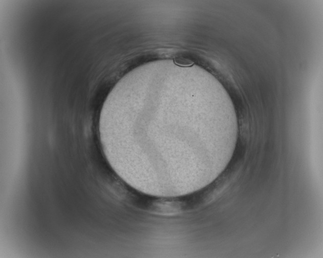 X0000111350221200907310958