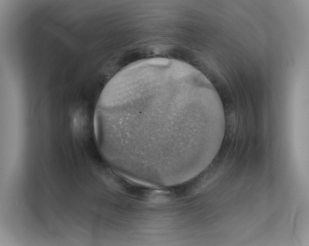 X0000111350222200907310958