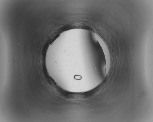 X0000111350223200907310958