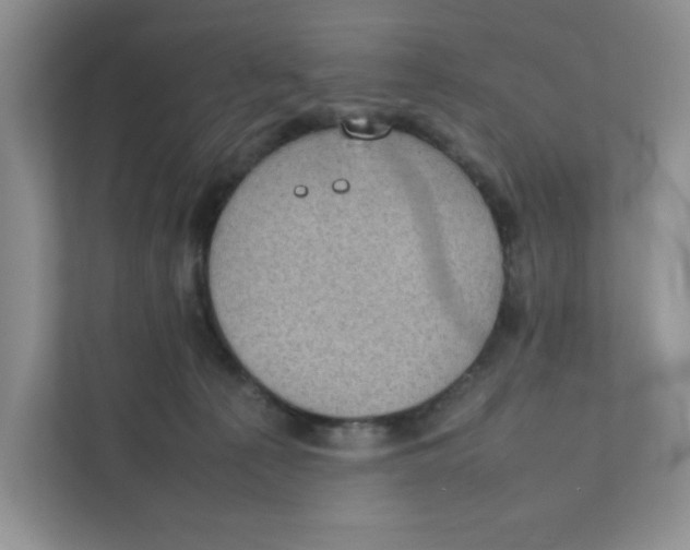 X0000111350225200907310958