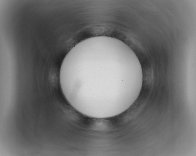 X0000111350226200907310958