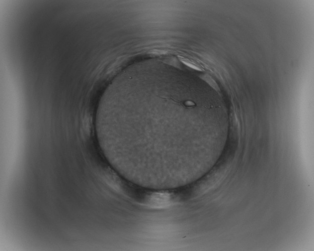 X0000111350227200907310958